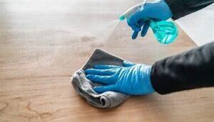 LM Cleaning